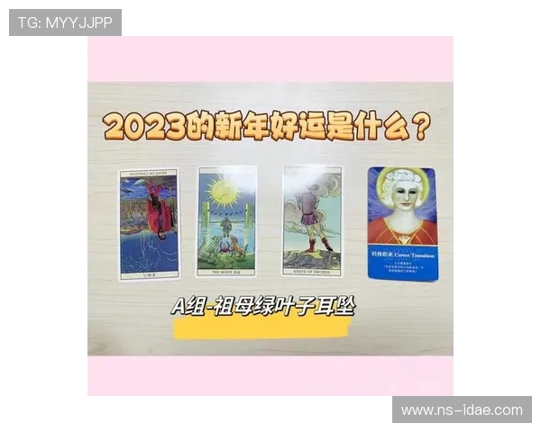 武汉排球队的蜕变与重生全运会特别报道探寻新机遇与挑战